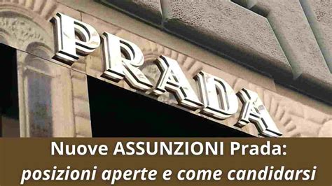 prada posizioni ricercate|prada job vacancies.